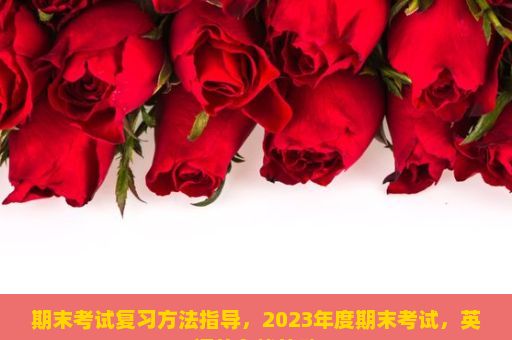 期末考试复习方法指导，2023年度期末考试，英语的备战策略