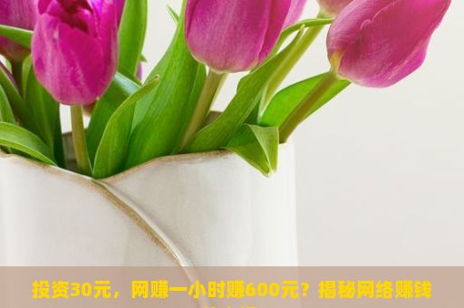 投资30元，网赚一小时赚600元？揭秘网络赚钱的真相，