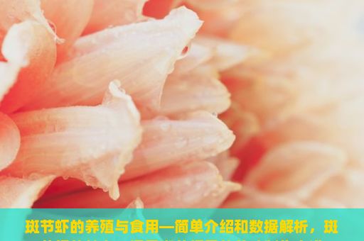 斑节虾的养殖与食用—简单介绍和数据解析，斑节虾的魅力，探寻斑节虾干的美味制作之道