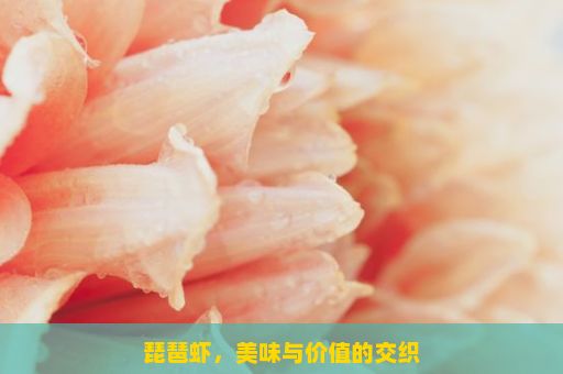 琵琶虾，美味与价值的交织