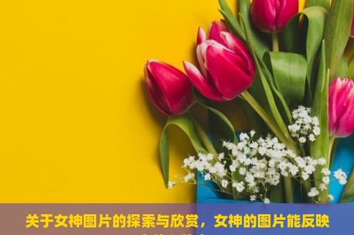 关于女神图片的探索与欣赏，女神的图片能反映出什么信息？