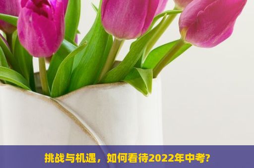 挑战与机遇，如何看待2022年中考?