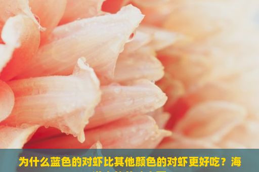 为什么蓝色的对虾比其他颜色的对虾更好吃？海洋中的美味宝藏