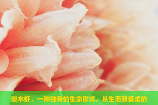 淡水虾，一种独特的生命形式，从生态到餐桌的奇妙之旅