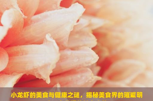 小龙虾的美食与健康之谜，揭秘美食界的璀璨明珠，小龙虾的魅力之旅