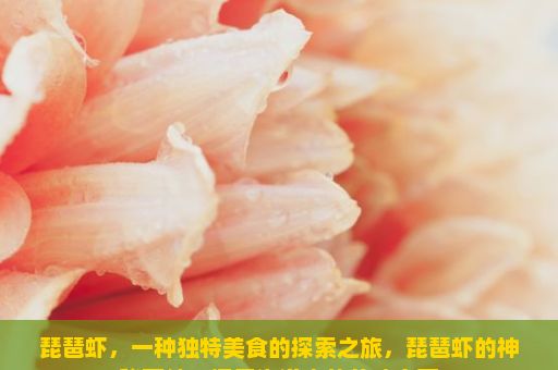 琵琶虾，一种独特美食的探索之旅，琵琶虾的神秘面纱，探索海洋中的美味宝藏