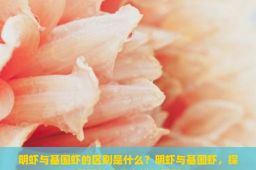 明虾与基围虾的区别是什么？明虾与基围虾，探索两种美味海鲜的异同