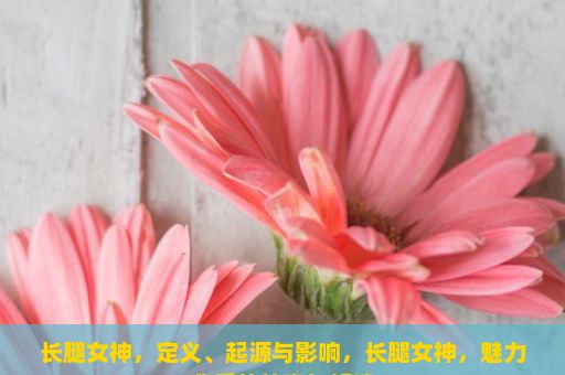 长腿女神，定义、起源与影响，长腿女神，魅力背后的故事与解读