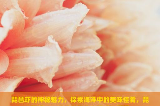 琵琶虾的神秘魅力，探索海洋中的美味佳肴，琵琶虾，一道独特美食的诱惑与探索