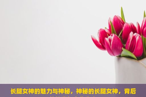 长腿女神的魅力与神秘，神秘的长腿女神，背后的故事与文化意义