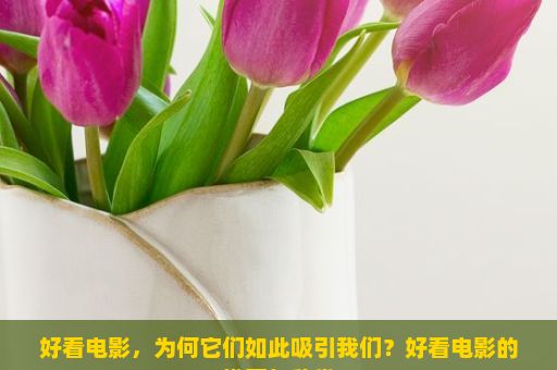 好看电影，为何它们如此吸引我们？好看电影的推荐与欣赏