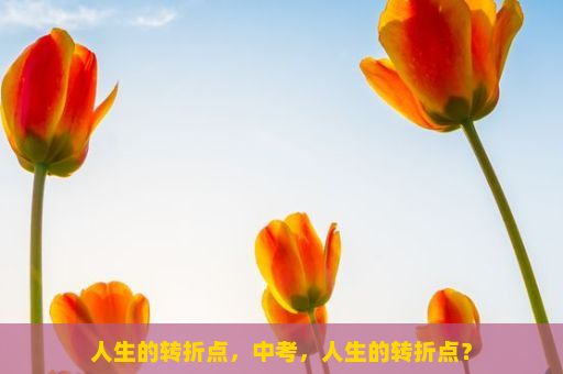 人生的转折点，中考，人生的转折点？