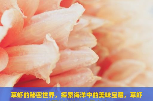 草虾的秘密世界，探索海洋中的美味宝藏，草虾的营养价值与食用方法