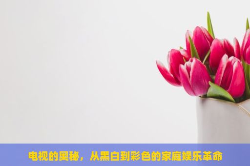 电视的奥秘，从黑白到彩色的家庭娱乐革命