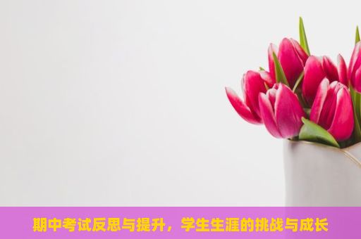 期中考试反思与提升，学生生涯的挑战与成长