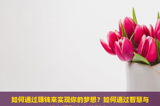 如何通过赚钱来实现你的梦想？如何通过智慧与努力赚取人生的财富？