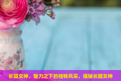 长腿女神，魅力之下的独特风采，揭秘长腿女神的秘密