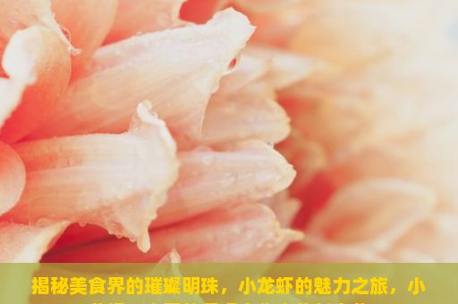 揭秘美食界的璀璨明珠，小龙虾的魅力之旅，小龙虾，中国的餐桌文化中的新宠儿