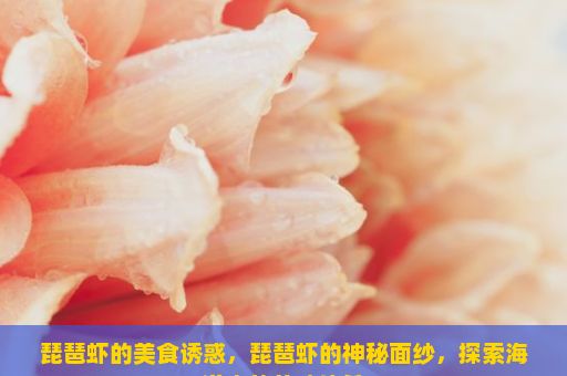 琵琶虾的美食诱惑，琵琶虾的神秘面纱，探索海洋中的美味佳肴