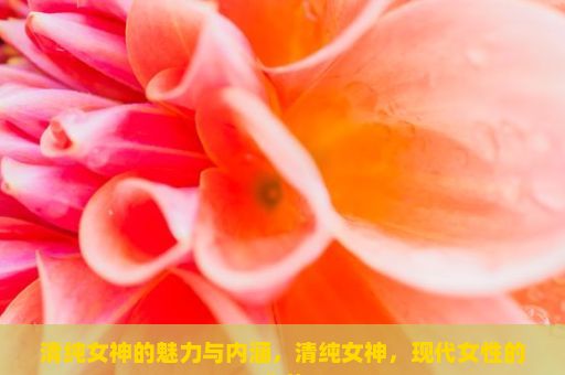 清纯女神的魅力与内涵，清纯女神，现代女性的典范