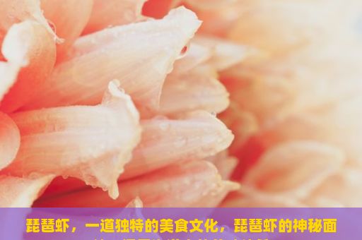 琵琶虾，一道独特的美食文化，琵琶虾的神秘面纱，探索海洋中的美味佳肴