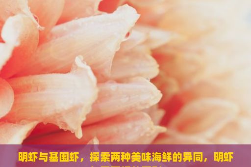 明虾与基围虾，探索两种美味海鲜的异同，明虾与基围虾的区别