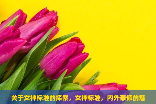 关于女神标准的探索，女神标准，内外兼修的魅力之谜