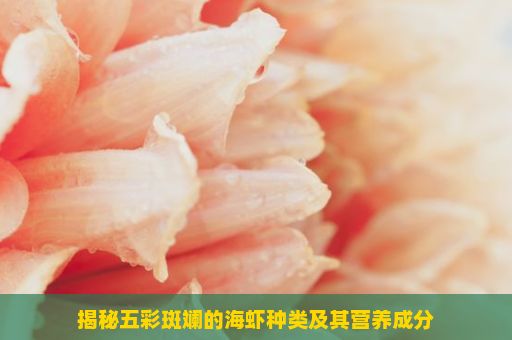 揭秘五彩斑斓的海虾种类及其营养成分