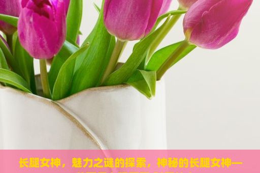 长腿女神，魅力之谜的探索，神秘的长腿女神——芭蕾舞者玛丽亚·科罗拉多