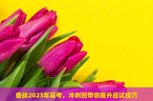 备战2023年高考，冲刺班带你提升应试技巧