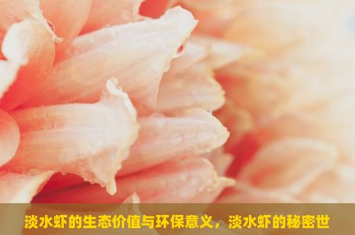 淡水虾的生态价值与环保意义，淡水虾的秘密世界，从生态到美食的探索
