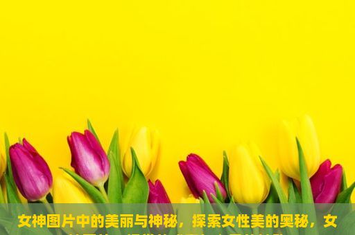 女神图片中的美丽与神秘，探索女性美的奥秘，女神图片，视觉的盛宴与心灵的触动