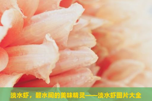 淡水虾，碧水间的美味精灵——淡水虾图片大全大图