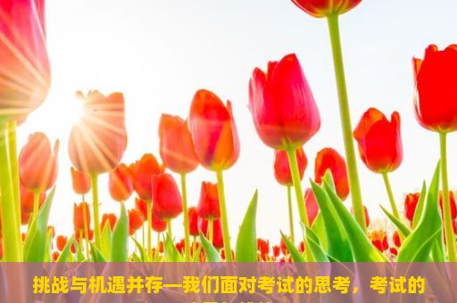 挑战与机遇并存—我们面对考试的思考，考试的迷思与挑战