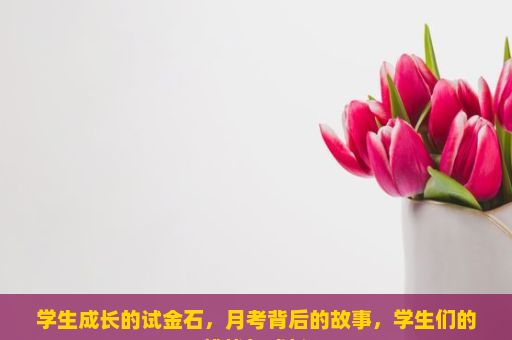 学生成长的试金石，月考背后的故事，学生们的挑战与成长