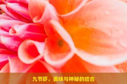 九节虾，美味与神秘的结合