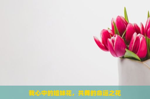 我心中的姐妹花，共舞的命运之花