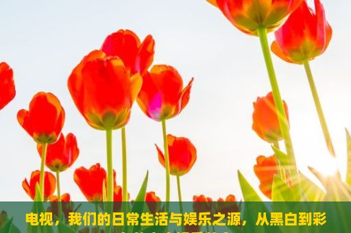 电视，我们的日常生活与娱乐之源，从黑白到彩色的家庭娱乐革命