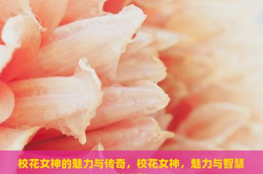 校花女神的魅力与传奇，校花女神，魅力与智慧的交融