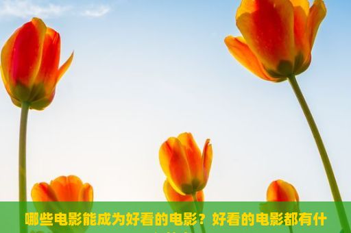 哪些电影能成为好看的电影？好看的电影都有什么特点？