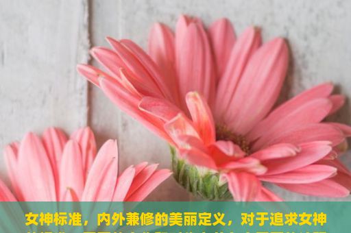 女神标准，内外兼修的美丽定义，对于追求女神的标准，不同的文化和时代有着各自不同的诠释和定义。它是一个人对美的理想化和浪漫化的表达方式。自古以来，人们就一直探讨着追求美丽、优雅的女神的标准。在这里，我们将一起探讨几个常见的女神标准。