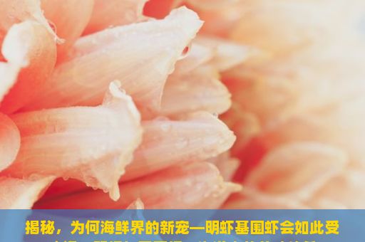 揭秘，为何海鲜界的新宠—明虾基围虾会如此受欢迎？明虾与基围虾，海洋中的美味佳肴