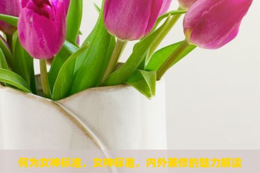 何为女神标准，女神标准，内外兼修的魅力解读