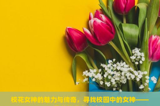 校花女神的魅力与传奇，寻找校园中的女神——我的校花女神之旅