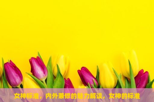 女神标准，内外兼修的魅力解读，女神的标准