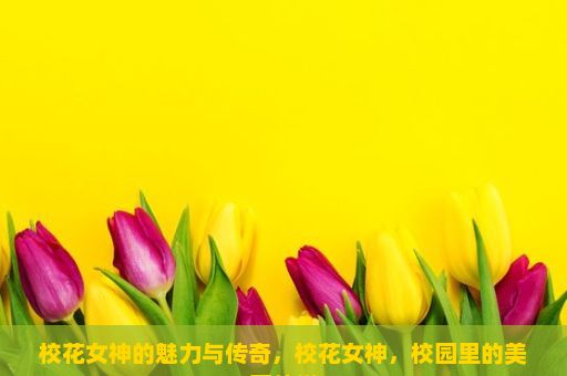 校花女神的魅力与传奇，校花女神，校园里的美丽传说