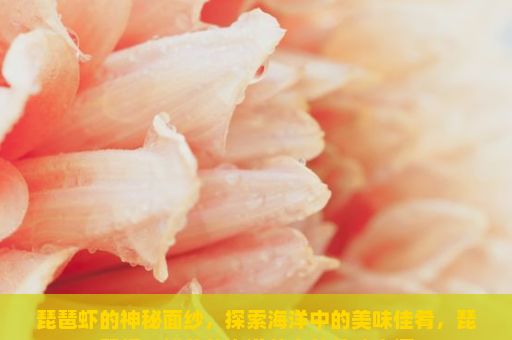 琵琶虾的神秘面纱，探索海洋中的美味佳肴，琵琶虾，鲜美的海洋美食的美味之源