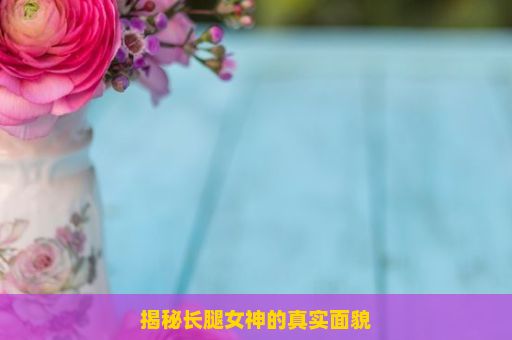 揭秘长腿女神的真实面貌