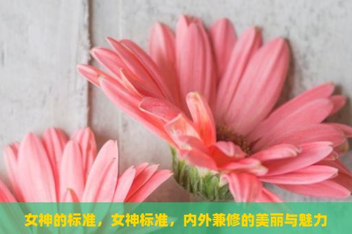 女神的标准，女神标准，内外兼修的美丽与魅力