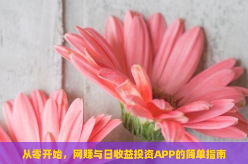 从零开始，网赚与日收益投资APP的简单指南